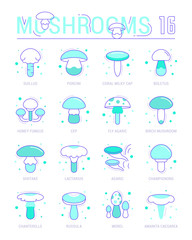 Set Blue Line Icons of Mushrooms