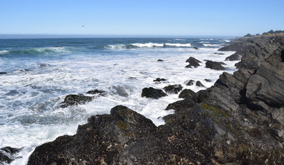 Fototapeta na wymiar Waves crashing in high surf on the N. California coast
