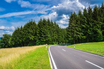 Fototapeta premium Germany, Perfect beautiful road through black forest summer landscape