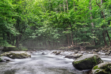 Naklejka na ściany i meble Great Smoky Mountains National Park-peaceful stream on a foggy morning