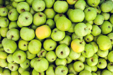 Green apple raw fruit backgrounds, healthy organic fresh product