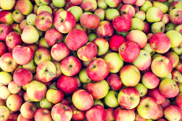 Red apple raw fruit backgrounds, healthy organic fresh product