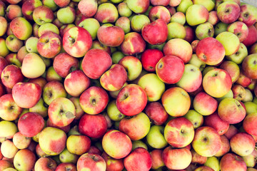 Red apple raw fruit backgrounds, healthy organic fresh product