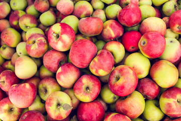 Red apple raw fruit backgrounds, healthy organic fresh product