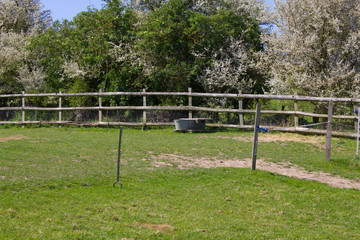 Grassy Paddock with a water trough 