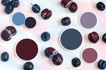 Ripe plums of different varieties and color samples