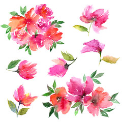 Watercolor flowers set. Pink flowers. Floral decorative elements. Painting flowers for greeting card.  
