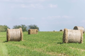 straw bales