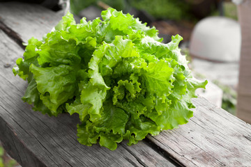 fresh lettuce on a wooden table, fresh organic healthy food
