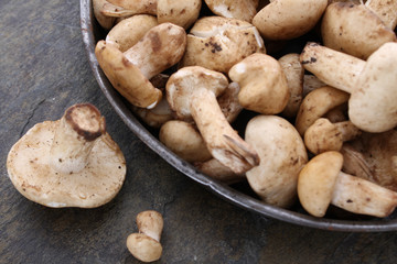 fresh uncooked mushrooms