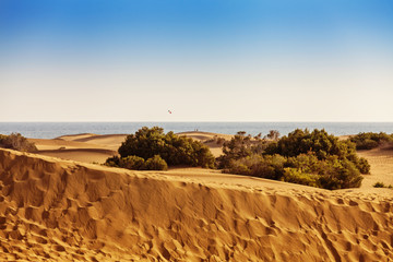 Maspalomas sand dunes