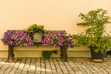 Blumenbank  mit Blumentopf und bunten Blumen vor heller Hauswand auf Kopfsteinpflaster, Flower bench with flowerpot and colorful flowers in front of bright house wall on cobblestones