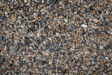 Colored stones and sea shells on the beach