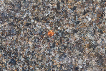 Colored stones and sea shells on the beach