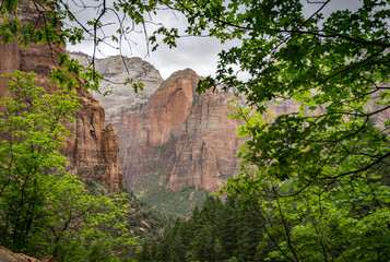 Zion National Park overlook of the valley, Utah, United States