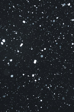 snowing with snowflakes on black background