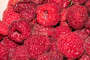 organic raspberries in a bowl . Raspberry fruit