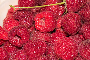organic raspberries in a bowl . Raspberry fruit © elinkac