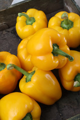 preparing fresh peppers