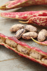 fresh raw borlotti beans