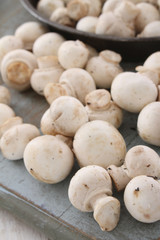fresh uncooked mushrooms