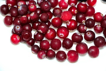 Freshly frozen berries for cooking food or drink. Cranberries - frozen they have kept their freshness and vitamins.