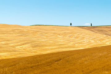 Fototapeta na wymiar Fields in Tuscany, Italy