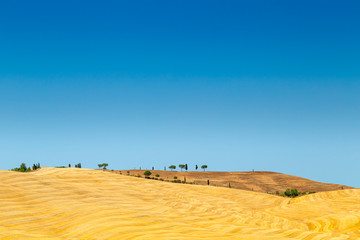 Fields in Tuscany, Italy