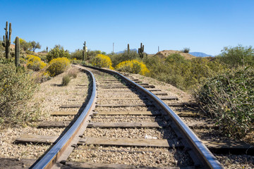 Railway track, green bushes in desert and blue sky on the horizon. Path concept