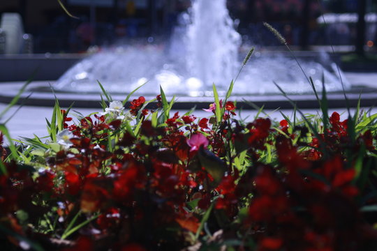 Fontana di Santa Margherita