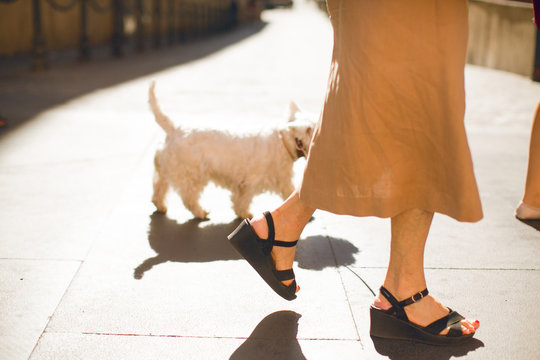 Old Woman In Black Shoes Walking With Her White Dog On The Street