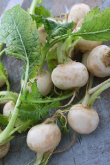 preparing fresh turnip