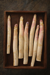 preparing fresh white asparagus spears