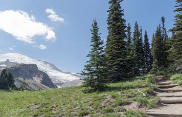 Forest hiking trail under majestic peaks.