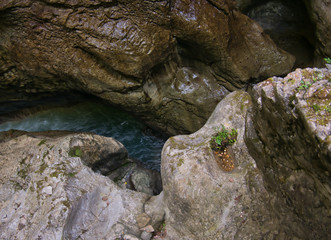 Naklejka na ściany i meble Auf einem Felsvorsprung liegen Münzen im Wasser