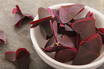 fresh salad leaves