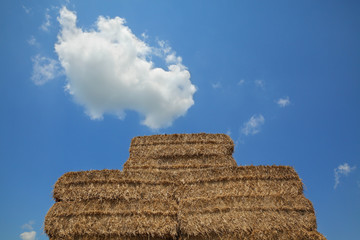 Bale of packed straw at big pile after harvest, with blue sky and white cloud