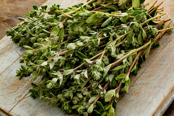 preparing fresh herb thyme