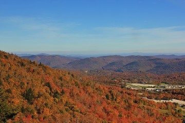 Autumnal landscape