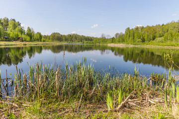 Fototapeta na wymiar Lake in the national reserve 