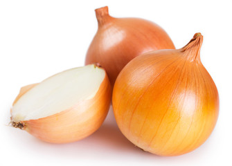 Fresh onion on white background