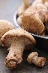 fresh uncooked mushrooms