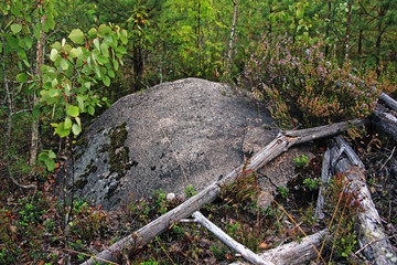 a large stone, covered with moss in the forest