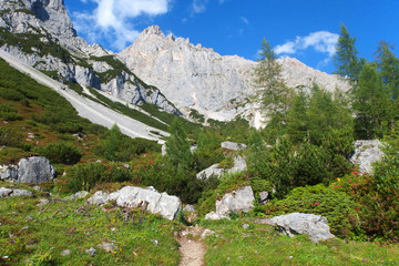 Alpine landscape in Austria