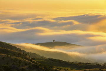 Low clouds yellow colored at sunrise