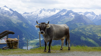 Zillertal Gerlos