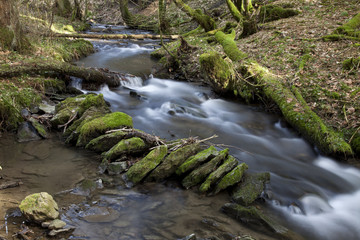 Bach in einem dunklen Zauberwald 