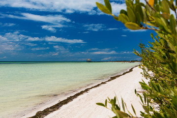 Sunny view of Punta Cocos on the island of Isla Holbox