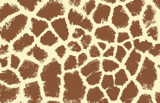 giraffe texture pattern brown white 