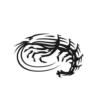 Shrimp vector emblem. Langoust logo on white background